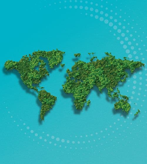 Download Company Brochure (English)