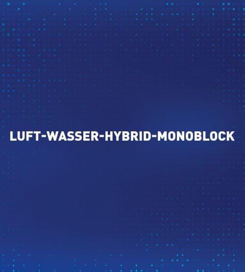 Technical Sheet (German)